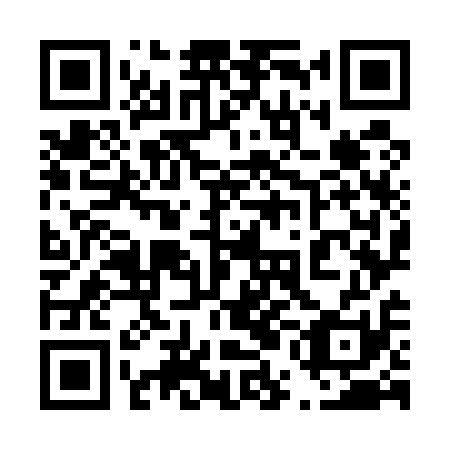 QR code for plate 45O 511