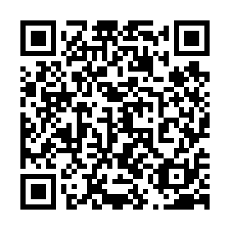 QR code for plate 45O 611