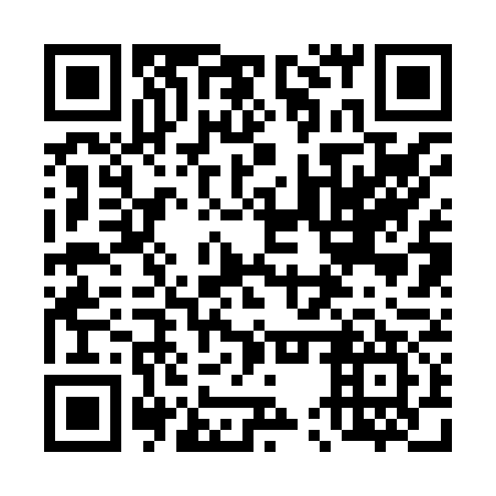 QR code for plate 45R 877