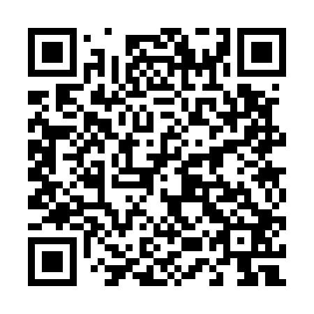 QR code for plate 45S 502