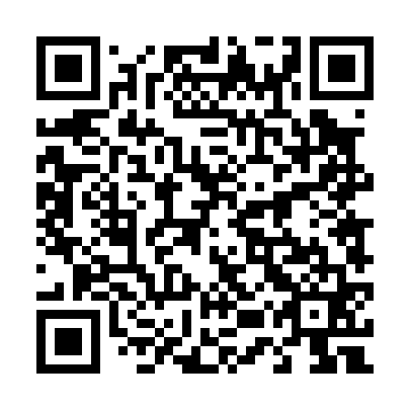 QR code for plate 45T 061