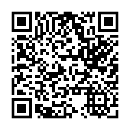 QR code for plate 45T 336