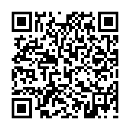 QR code for plate 45T 355
