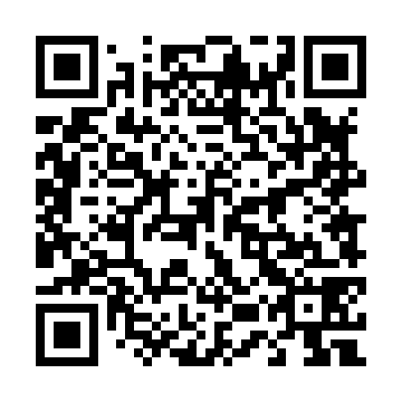 QR code for plate 45T 878