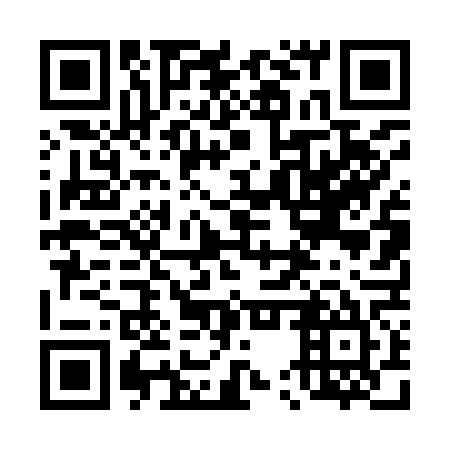 QR code for plate 45T 965
