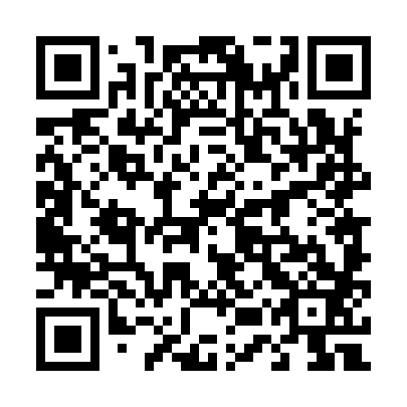 QR code for plate 45T 983