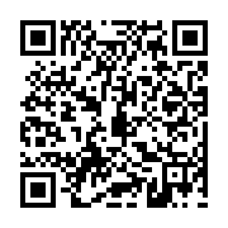 QR code for 45V 747