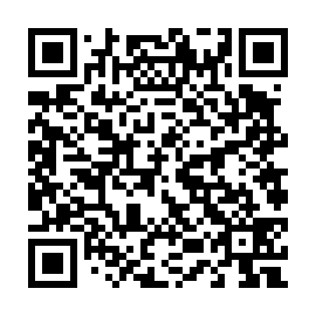 QR code for plate 45V 439