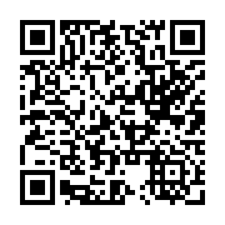 QR code for plate 45V 913