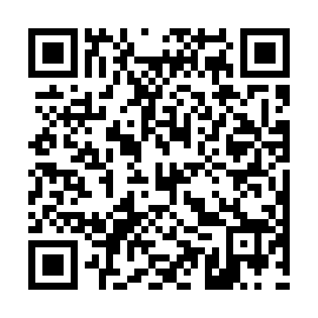 QR code for plate 45W 508