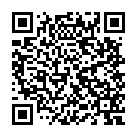 QR code for plate 45W 555