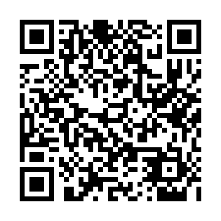 QR code for 45X313