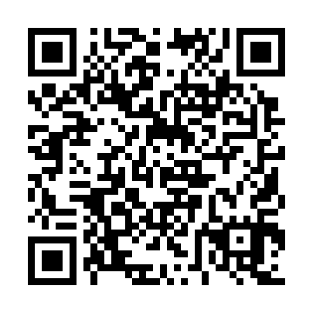 QR code for 46A315