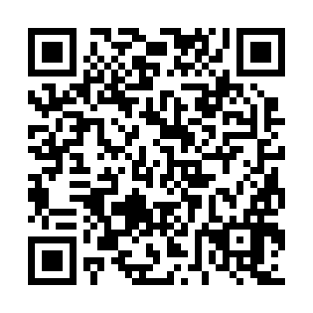 QR code for plate 46C 296