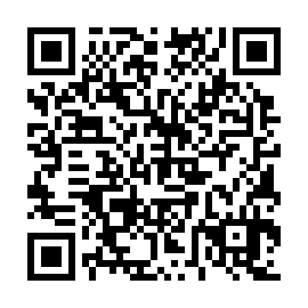 QR code for 46E 334