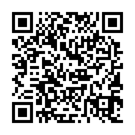 QR code for 46E311
