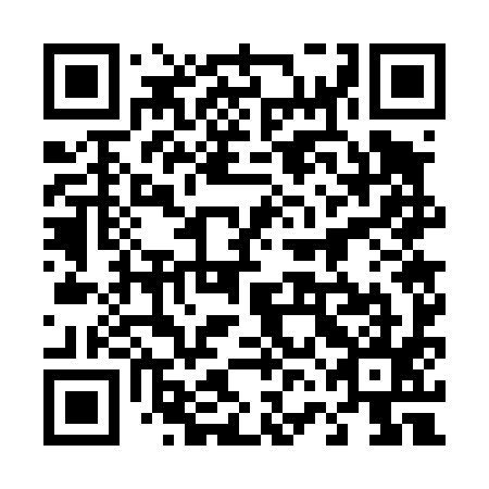 QR code for 46G495