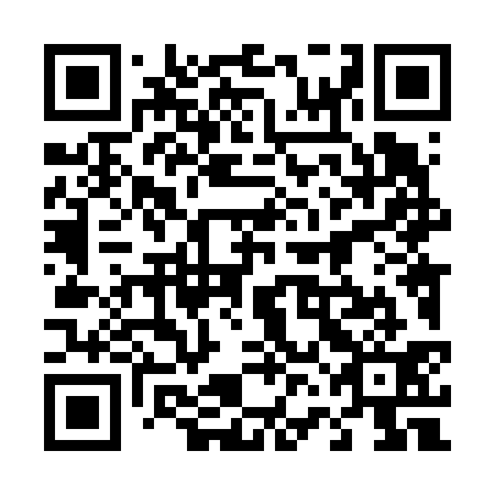 QR code for 46L631