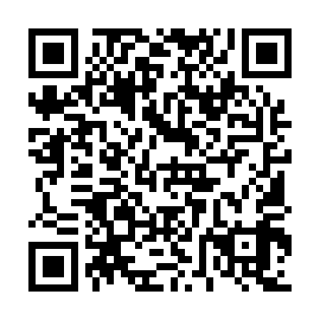 QR code for plate 46M 119