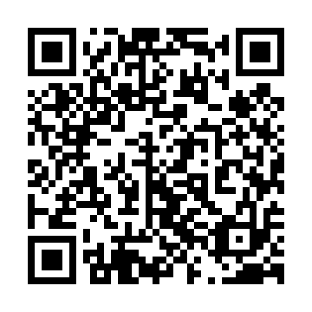 QR code for 46M413