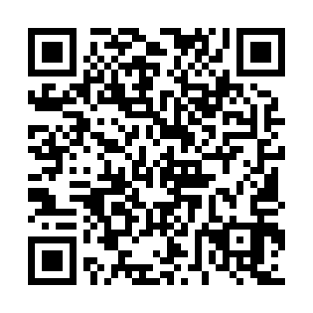 QR code for plate 46M 813