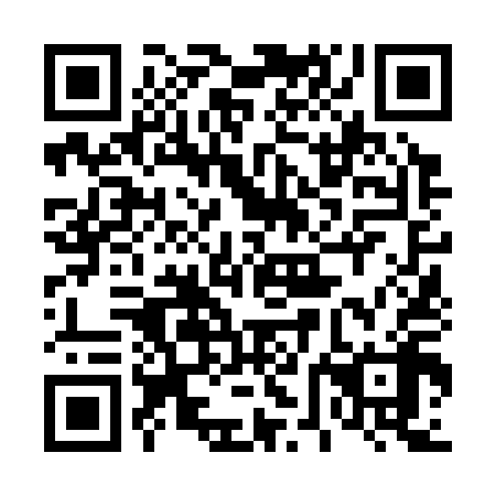 QR code for 46N 318