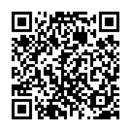 QR code for 46N 690