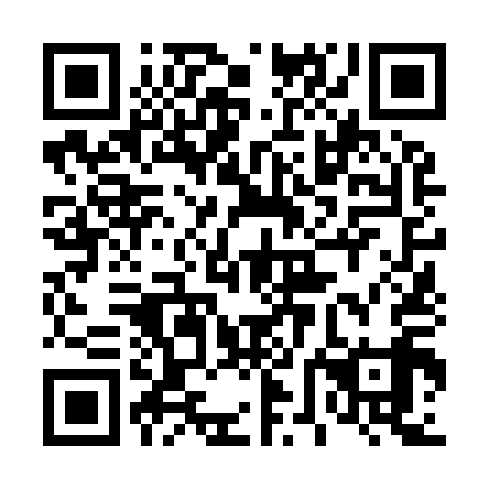 QR code for 46N 919