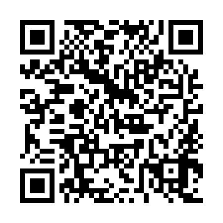 QR code for 46N198