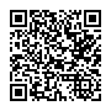 QR code for plate 46N 493