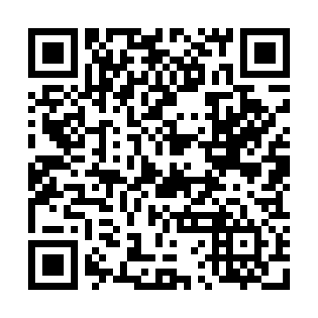 QR code for 46O 534