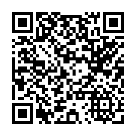 QR code for 46P 217