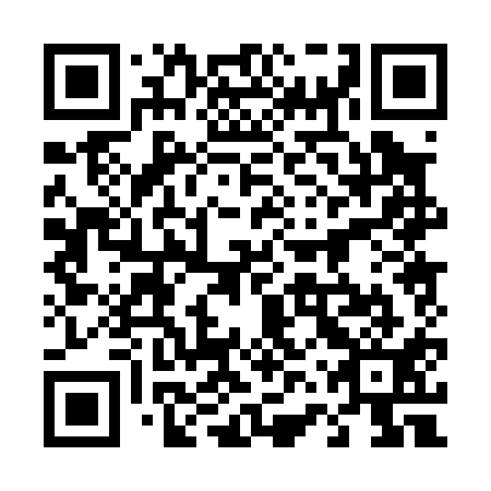 QR code for plate 46P 011