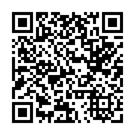 QR code for 46P438