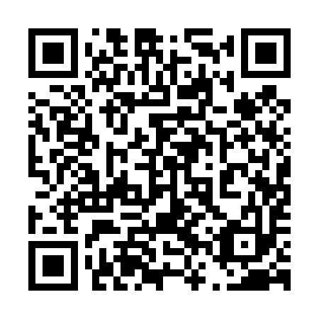 QR code for 46Q 493