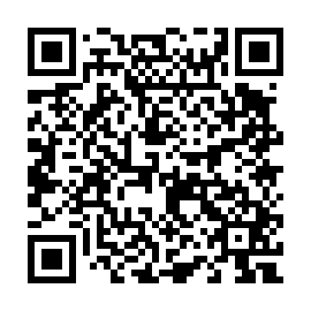 QR code for 46Q441