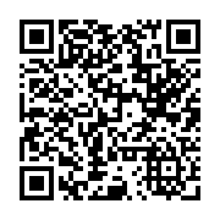 QR code for plate 46R 325