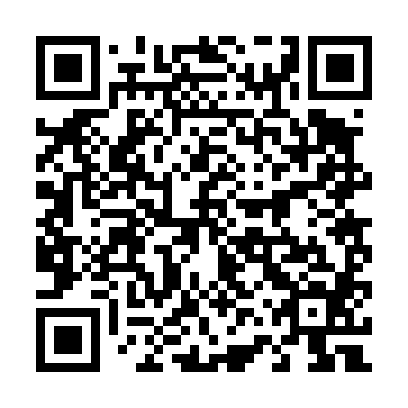 QR code for plate 46R 484