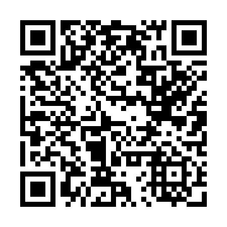 QR code for 46T 319