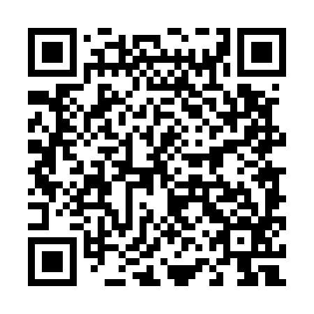 QR code for 46T 596