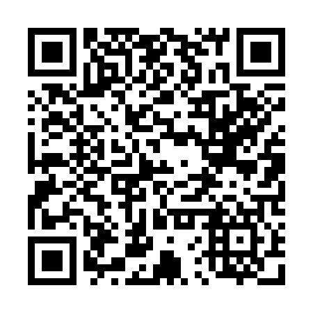 QR code for 46T307