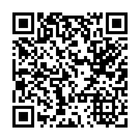 QR code for 46T309