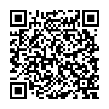 QR code for plate 46T 311