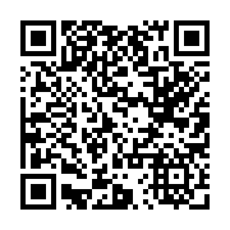 QR code for plate 46T 387