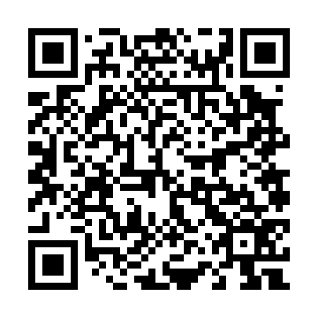 QR code for plate 46V 076