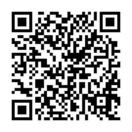 QR code for plate 46V 356