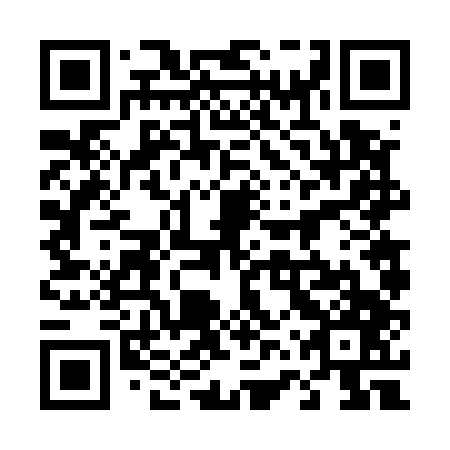 QR code for plate 46V 547
