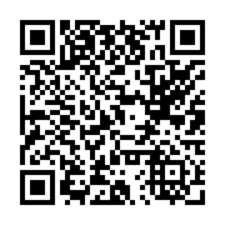 QR code for plate 46V 811