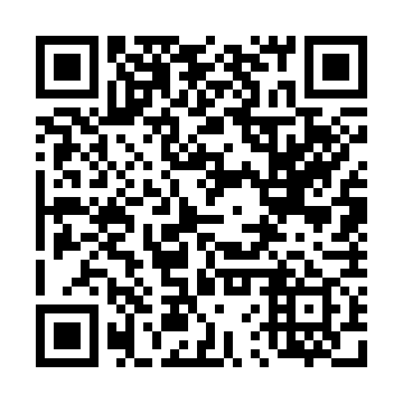 QR code for plate 46W 379