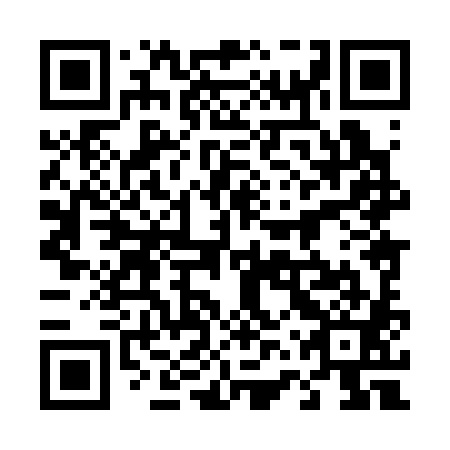 QR code for 46X 381